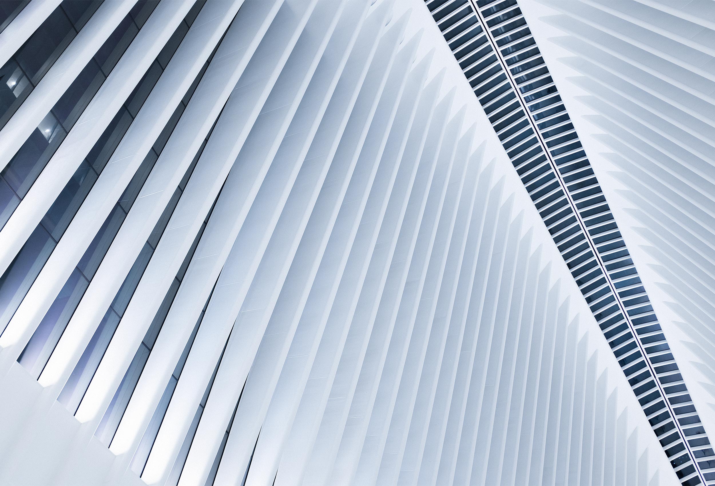 Oculus / Santiago Calatrava